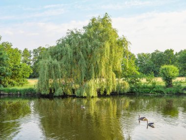 Borken yakınlarındaki Westphalia Gölü.
