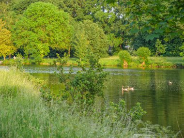 Borken yakınlarındaki Westphalia Gölü.