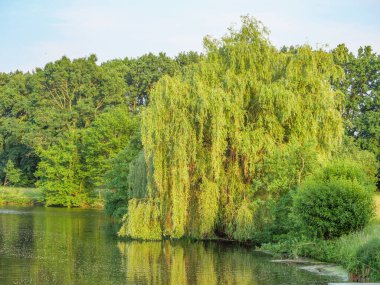 Borken yakınlarındaki Westphalia Gölü.