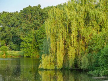 Borken yakınlarındaki Westphalia Gölü.