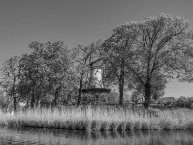 Hollanda 'daki Alkmaar şehri.