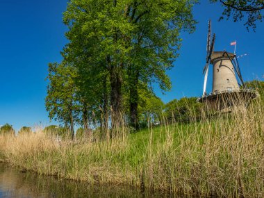 Hollanda 'daki Alkmaar şehri.