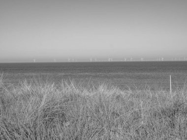 Hollanda 'da Egmond aan zee