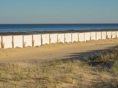 Hollanda 'da Egmond aan zee