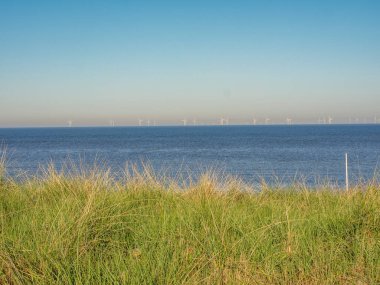 Hollanda 'da Egmond aan zee