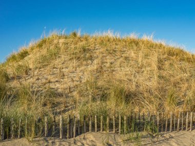 Hollanda 'da Egmond aan zee