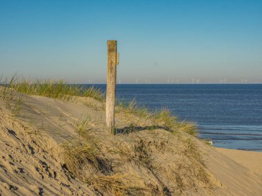 Hollanda 'da Egmond aan zee