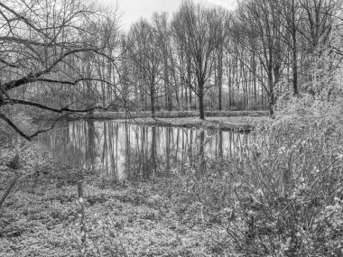 Hollanda 'da Eibergen