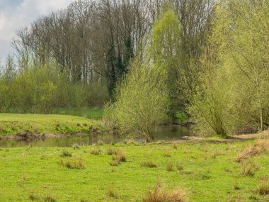 Hollanda 'da Eibergen