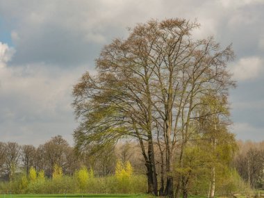 Hollanda 'da Eibergen