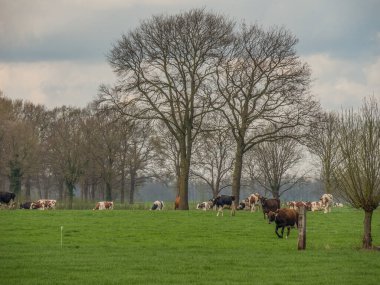 Hollanda 'da Eibergen