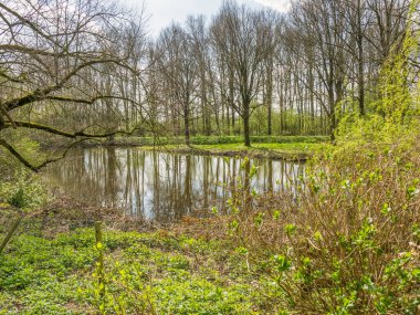 Hollanda 'da Eibergen