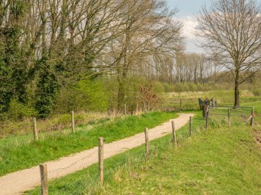 Hollanda 'da Eibergen