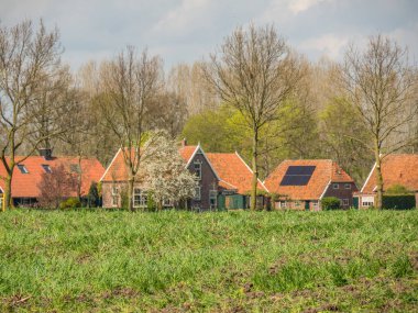 Hollanda 'da Eibergen