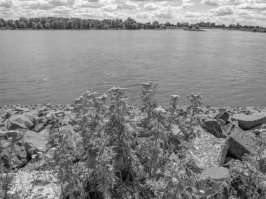 Emmerich Almanya 'daki Ren Nehri' nde.