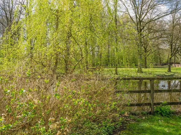 Hollanda 'da Eibergen