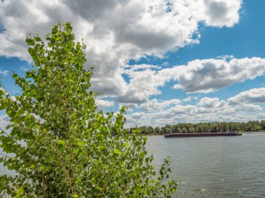 Emmerich Almanya 'daki Ren Nehri' nde.