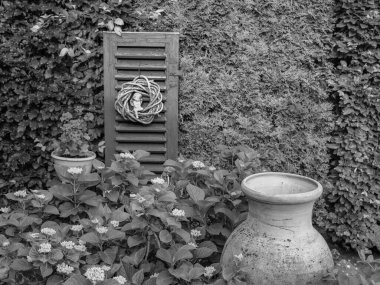 Bahçede yaz zamanı