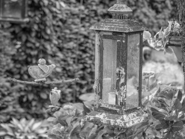 Bahçede yaz zamanı