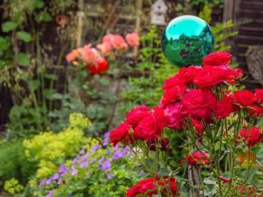 Bahçede yaz çiçekleri