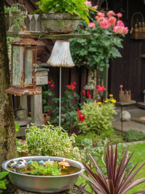 Bahçede yaz çiçekleri