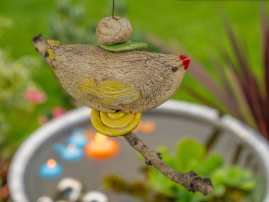 Bahçede yaz çiçekleri