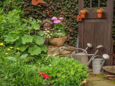 Bahçede yaz çiçekleri