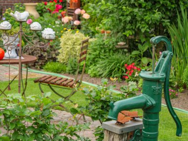 Bahçede yaz çiçekleri