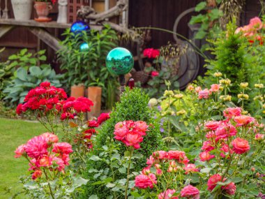 Bahçede yaz çiçekleri