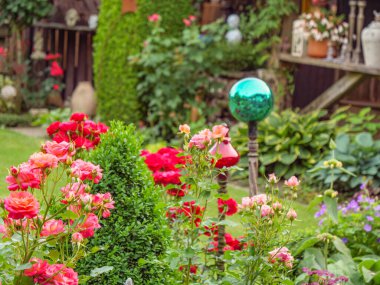 Bahçede yaz çiçekleri