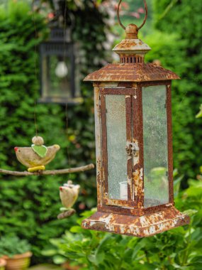 Bahçede yaz çiçekleri