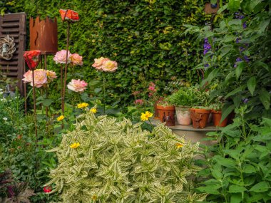 Bahçede yaz çiçekleri