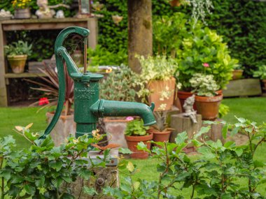 Bahçede yaz çiçekleri