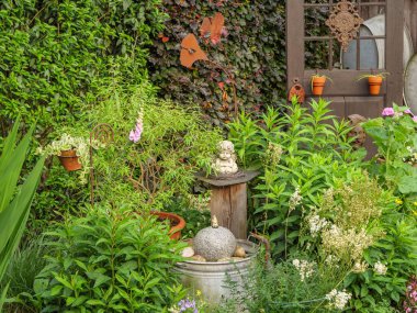 Bahçede yaz çiçekleri