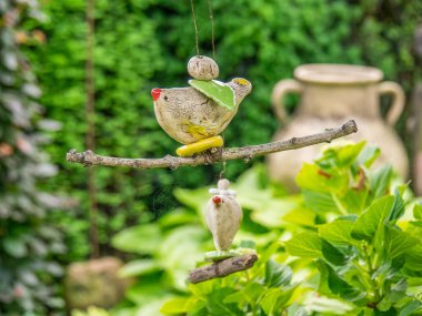 Bahçede yaz çiçekleri