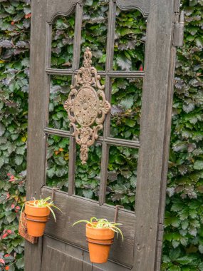 Bahçede yaz çiçekleri