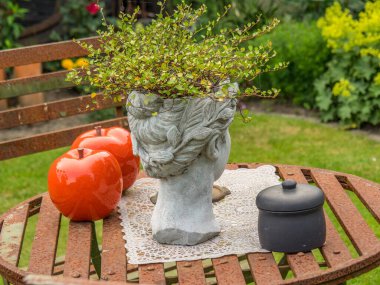 Bahçede yaz çiçekleri