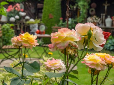 Bahçede yaz çiçekleri