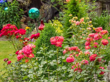 Bahçede yaz çiçekleri