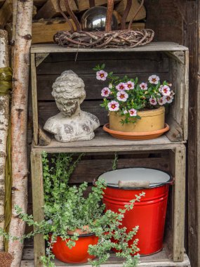 Bahçede yaz çiçekleri