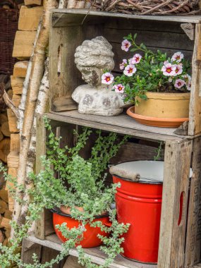 Bahçede yaz çiçekleri