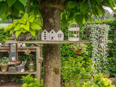 Bahçede yaz çiçekleri