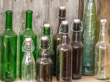 Bahçede yaz çiçekleri