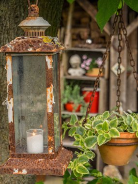 Bahçede yaz çiçekleri