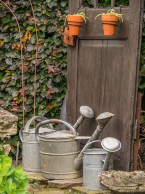 Bahçede yaz çiçekleri