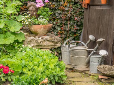 Bahçede yaz çiçekleri