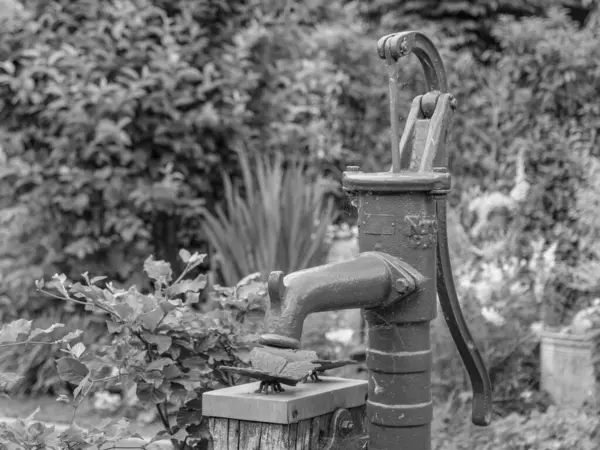 Bahçede yaz zamanı