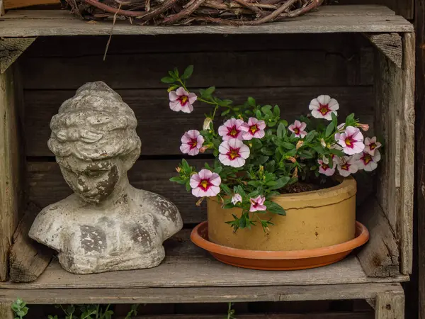 Bahçede yaz çiçekleri