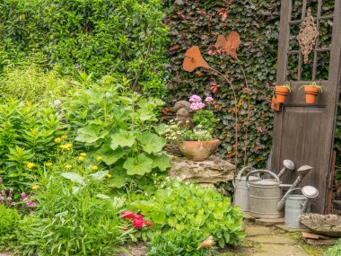 Bahçede yaz çiçekleri