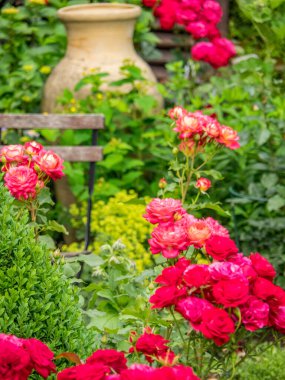 Bahçede yaz çiçekleri